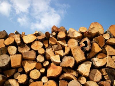 Мешканці прифронтових районів Миколаївщини почали отримувати безкоштовні дрова