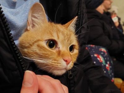 Ukrainians can now stay in shelters with their pets